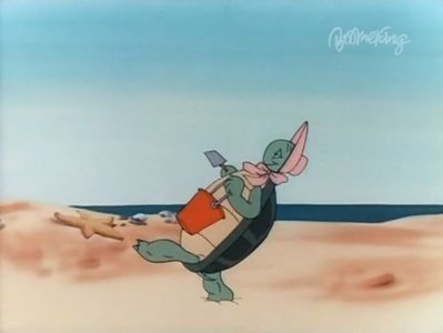The Shell Shocked Egg
