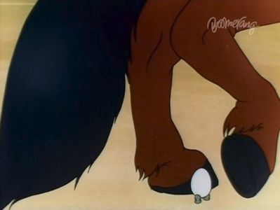 The Shell Shocked Egg