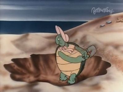 The Shell Shocked Egg