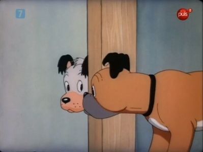 The Curious Puppy