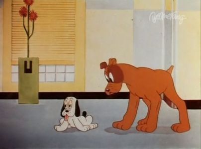 Dog Gone Modern