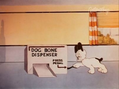 Dog Gone Modern
