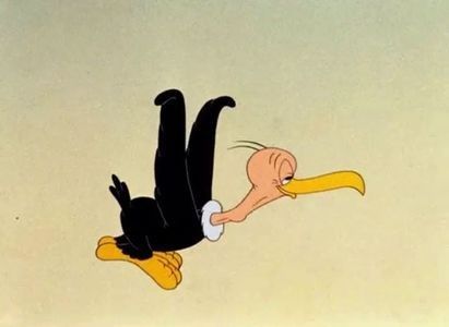 The Bashful Buzzard