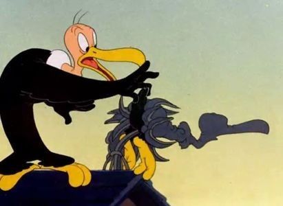 The Bashful Buzzard