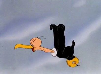 The Bashful Buzzard
