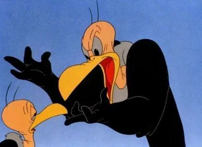 The Bashful Buzzard