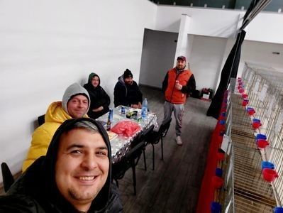 Ulmeni 30.11.2024