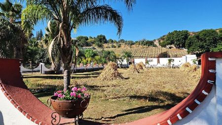 Mexican Farm