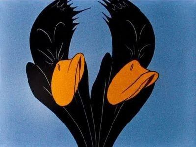 Tom Turk And Daffy