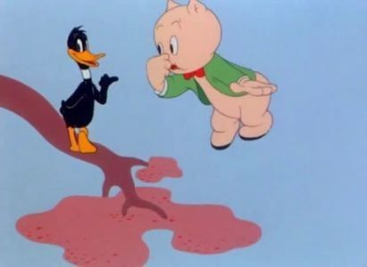 My Favorite Duck