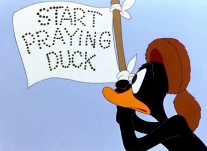 My Favorite Duck