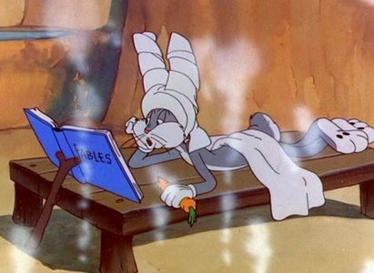 Rabbit Transit
