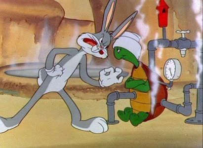 Rabbit Transit