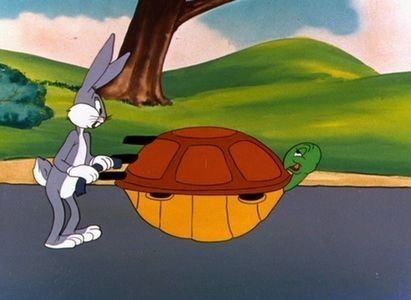 Rabbit Transit