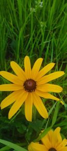 8f883d6b-5b46-48ba-b3ae-21fde013716d-1_all_460
