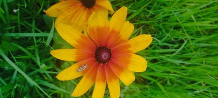 8f883d6b-5b46-48ba-b3ae-21fde013716d-1_all_462
