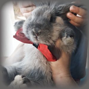 ♡ Day 49 ; 02.01.2025