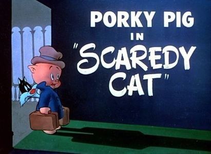 Scaredy Cat