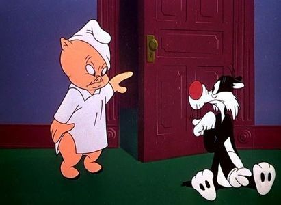 Scaredy Cat