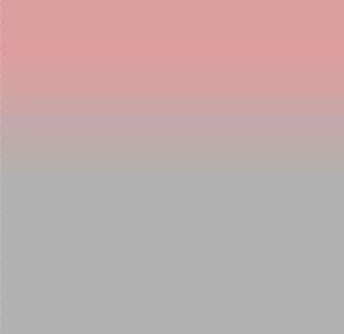 cbfce38d0393cad75252e161c5f0c808