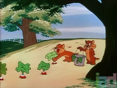 Two Gophers From Texas