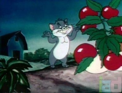 The Goofy Gophers