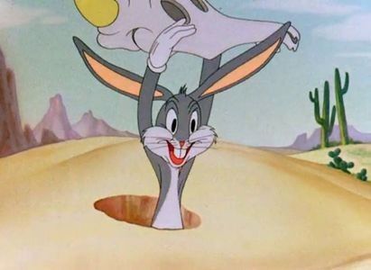 The Wacky Wabbit