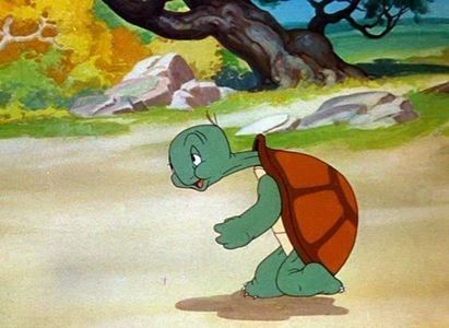 Tortoise Wins By A Hare