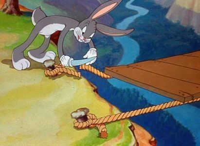Tortoise Wins By A Hare