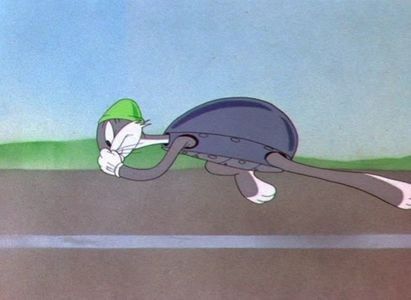 Tortoise Wins By A Hare