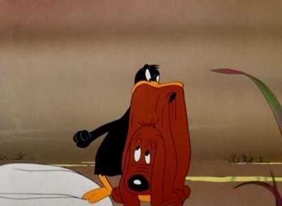 To Duck Or Not To Duck