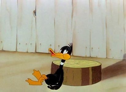 The Wise Quacking Duck