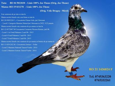 RO 21 1436024 F REZERVATA GALAN PIATRA NEAMT Pret 200 Lei + transportul