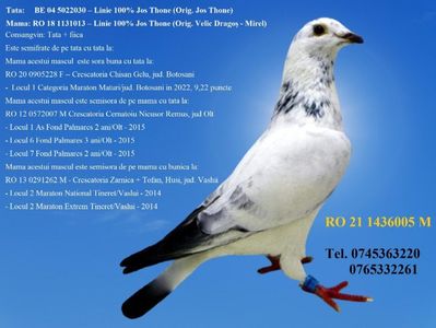 RO 21 1436005 M REZERVAT GALAN PIATRA NEAMT Pret 200 Lei +  transportul