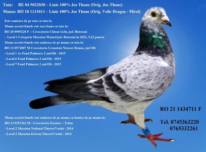 RO 21 1434711 F REZERVATA Pret 200 Lei + transportul