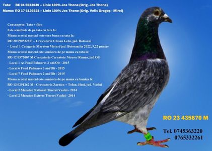 RO 23 435870 M REZERVAT GALAN PIATRA NEAMT Pret 200 Lei + transportul