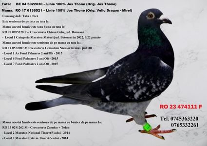 RO 23 474111 F REZERVATA GALAN PIATRA NEAMT Pret 175 Lei + transportul