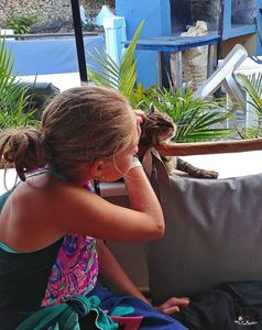 Cat Love