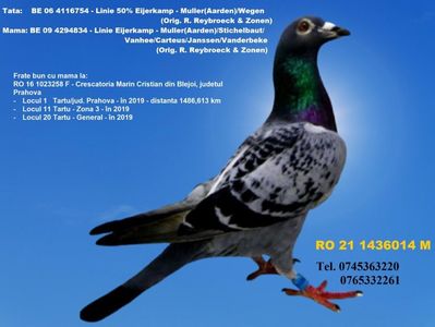 RO 21 1436014 M Pret 150 Lei +  transportul