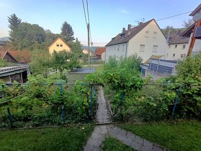 Img.2024.08.31