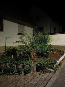 Img.2024.09.20