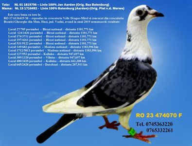 RO 23 474070 F Pret 150 Lei + transportul