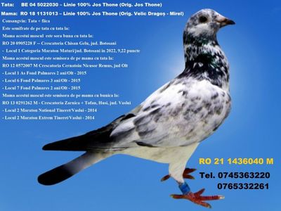 RO 21 1436040 M REZERVAT GALAN PIATRA NEAMT Pret 200 Lei + transportul