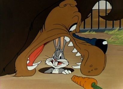 Acrobatty Bunny