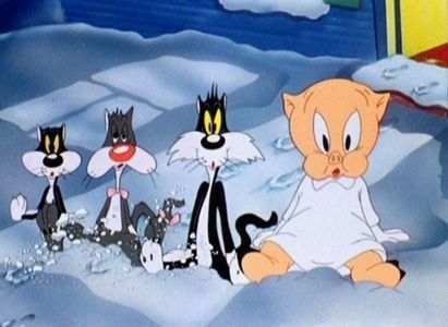Kitty Kornered