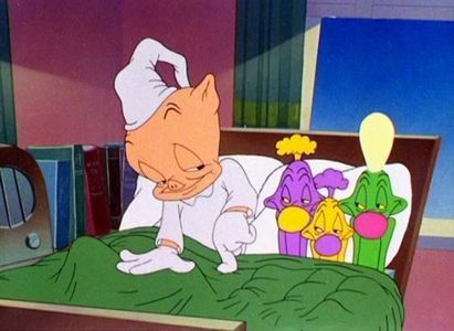 Kitty Kornered