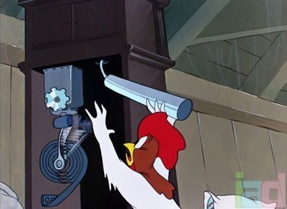 The Rattled Rooster