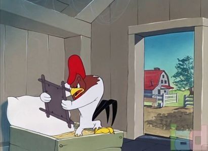 The Rattled Rooster