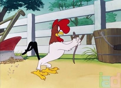 The Rattled Rooster