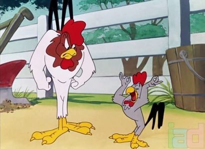 The Rattled Rooster
